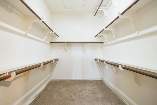 spacious closet featuring light carpet