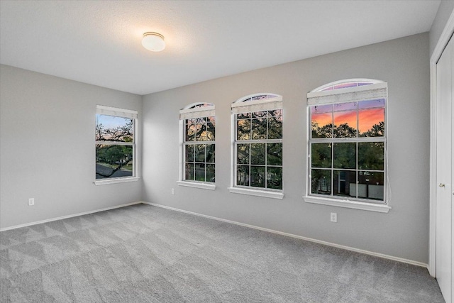 spare room with carpet flooring, baseboards, and plenty of natural light
