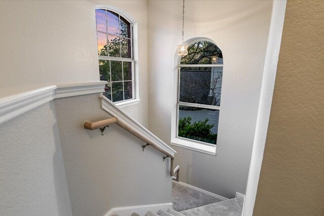 stairway featuring carpet flooring and a textured wall