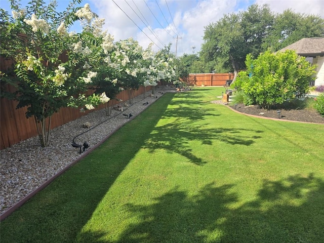 332 Axis Loop, Georgetown, TX 78628 - view of fenced backyard