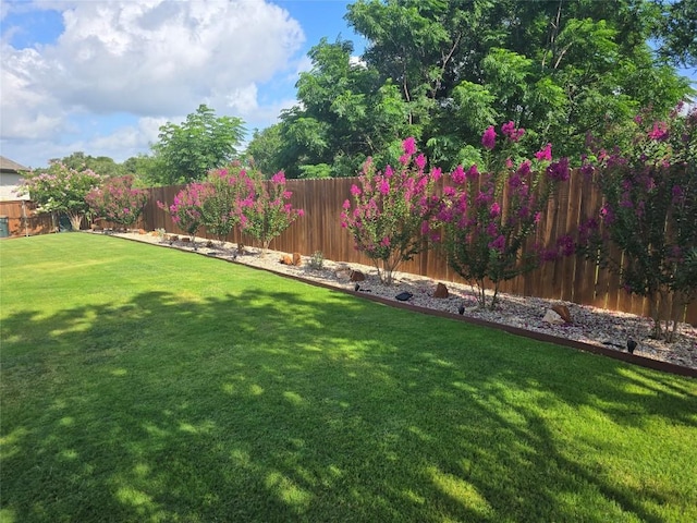 332 Axis Loop, Georgetown, TX 78628 - view of fenced backyard
