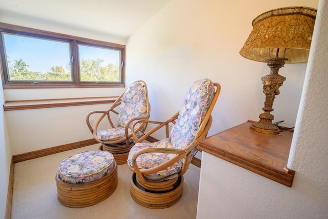 22207 Moulin Dr, Spicewood, TX 78669 - sitting room with baseboards