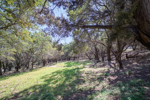 22207 Moulin Dr, Spicewood, TX 78669 - view of yard featuring a forest view