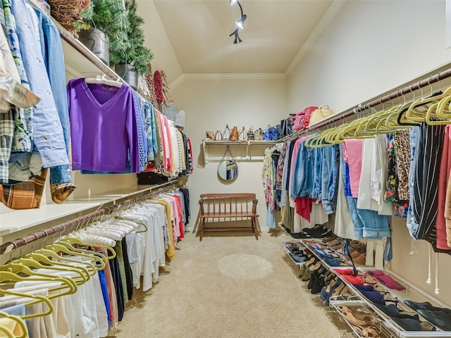 217 Piedmont Hills Pass, Austin, TX 78732 - spacious closet with carpet floors