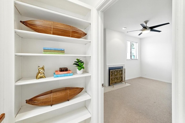 611 E 45th St Unit 15, Austin, TX 78751 - corridor featuring carpet