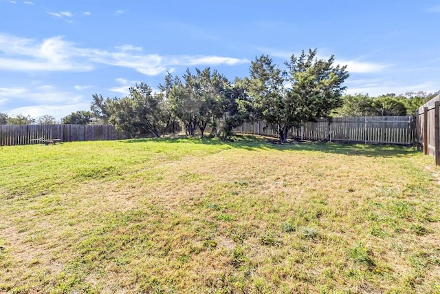 22113 Shotts Dr, Spicewood, TX 78669 - view of yard