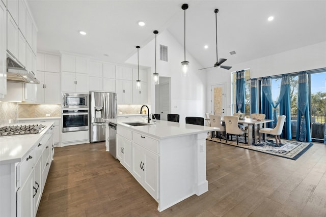 kitchen featuring a sink, dark wood finished floors, under cabinet range hood, and stainless steel appliances