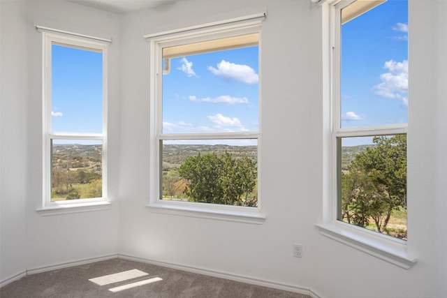 19604 Summit Glory Trl, Spicewood, TX 78669 - empty room featuring carpet