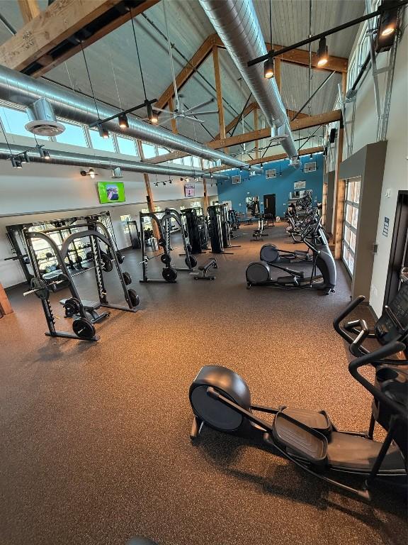 4413 Shady Hill Ln, Pflugerville, TX 78660 - exercise room with high vaulted ceiling