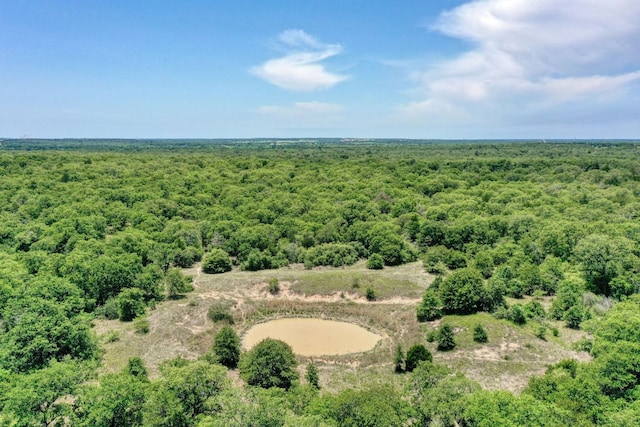 000 County Road 312th Rd, Thrall, TX 76578