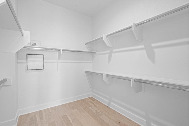 walk in closet with light wood-type flooring
