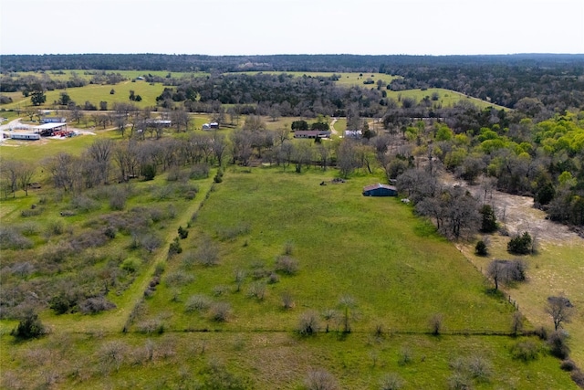 491 Herron Trl, Mcdade, TX 78650 - view of rural area