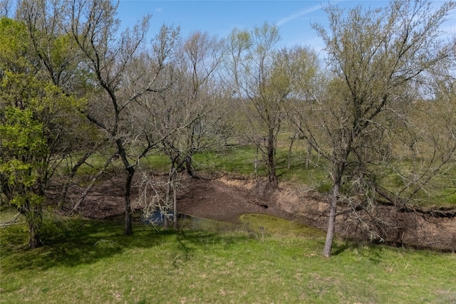 491 Herron Trl, Mcdade, TX 78650 - view of undeveloped land