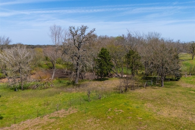 491 Herron Trl, Mcdade, TX 78650 - view of nature