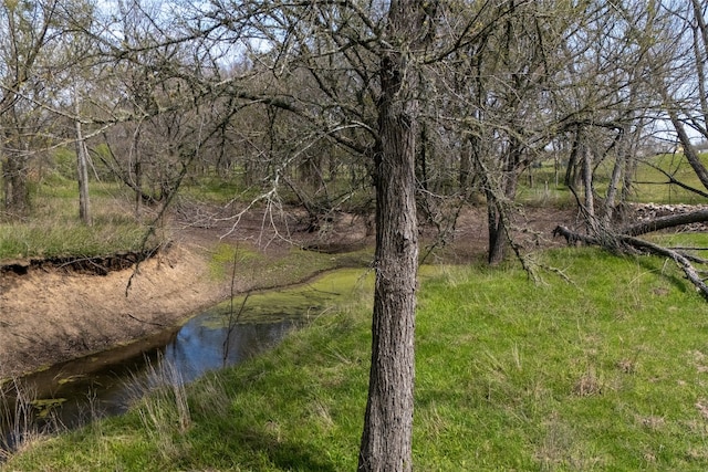 491 Herron Trl, Mcdade, TX 78650 - water view