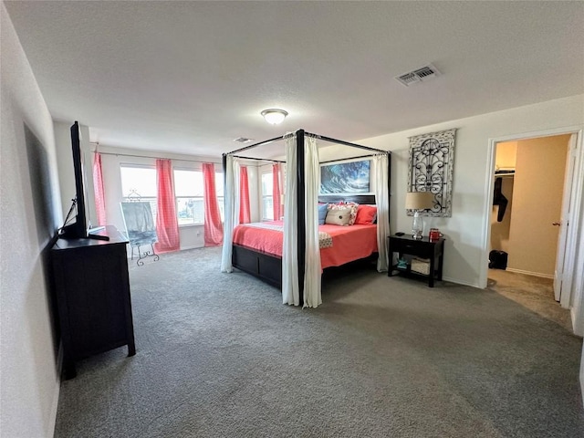 1208 Ravenside Cv, Leander, TX 78641 - view of carpeted bedroom