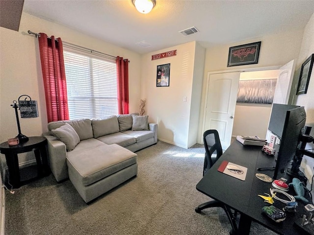 1208 Ravenside Cv, Leander, TX 78641 - view of carpeted office space