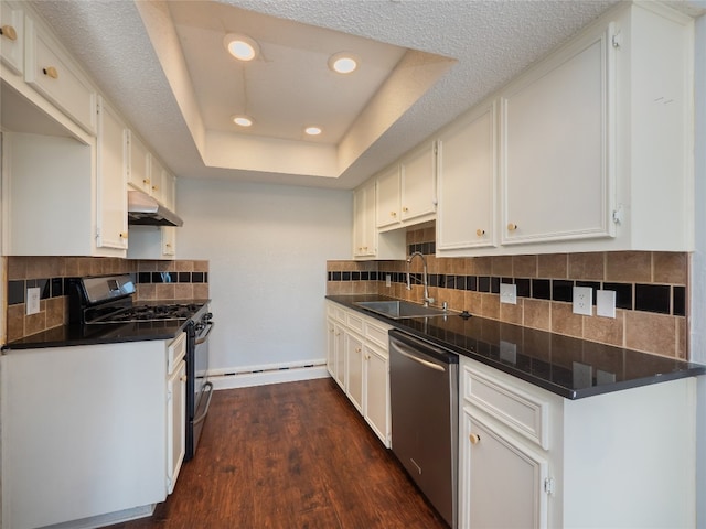 kitchen featuring a sink, a raised ceiling, dark wood finished floors, under cabinet range hood, and stainless steel appliances
