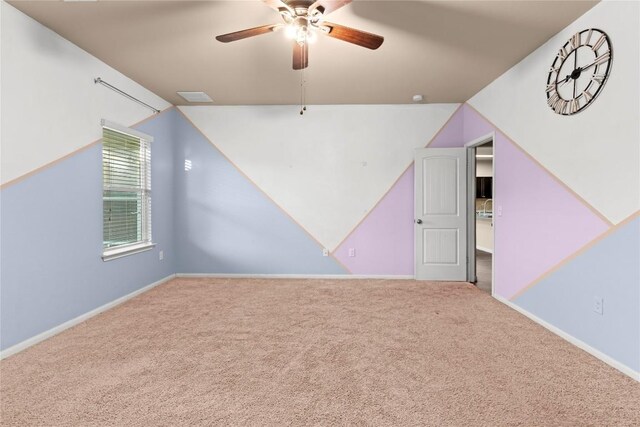 407 Camellia Dr, Hutto, TX 78634 - photo 16