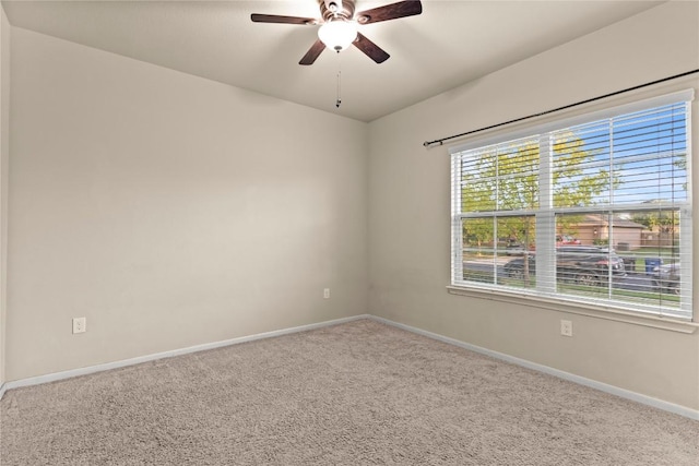407 Camellia Dr, Hutto, TX 78634 - photo 19