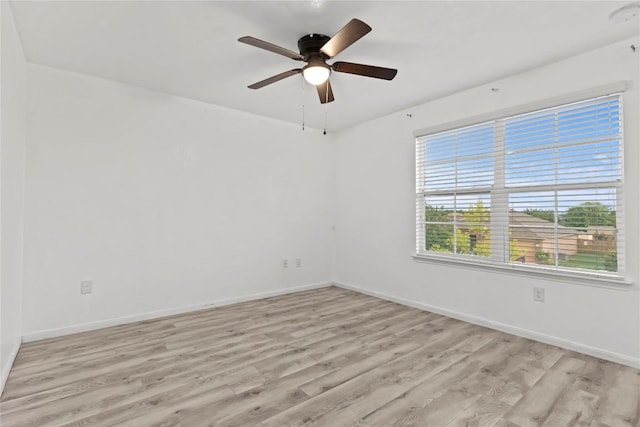 407 Camellia Dr, Hutto, TX 78634 - photo 30