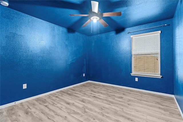 407 Camellia Dr, Hutto, TX 78634 - photo 32