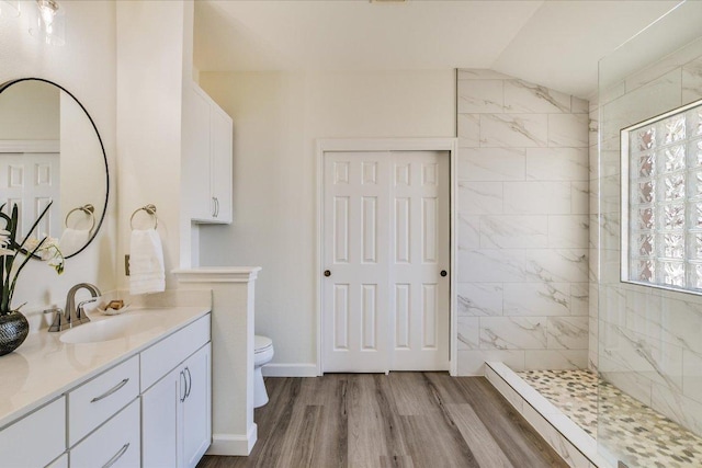 3905 Stonehenge Path, Round Rock, TX 78681 - bathroom with walk in shower, toilet, wood finished floors, and vanity