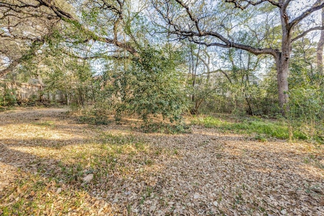 2710 Enfield Rd, Austin, TX 78703 - view of local wilderness with a forest view