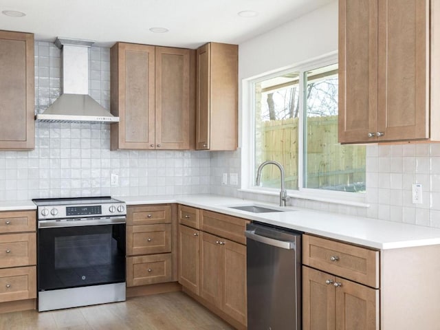 1403 E Applegate Dr, Austin, TX 78753 - kitchen featuring stainless steel appliances, wall chimney exhaust hood, a sink, light wood finished floors, and light countertops