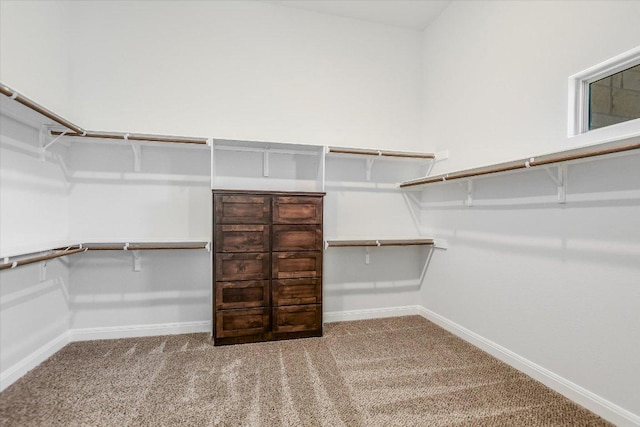 308 Joya Dr, Liberty Hill, TX 78642 - photo 19