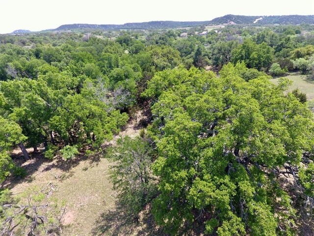 2655 Welgehausen Rd, Fredericksburg, TX 78624 - photo 12