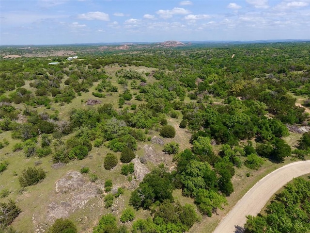 2655 Welgehausen Rd, Fredericksburg, TX 78624 - photo 13