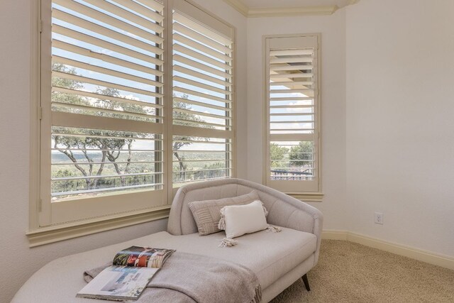 11521 Shadestone Ter, Austin, TX 78732 - photo 23