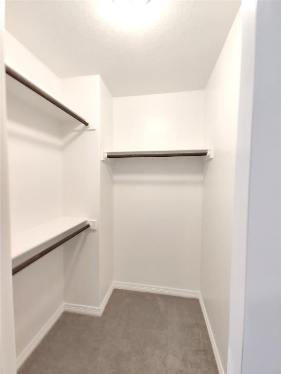 4336 Trey Edsel Dr, Pflugerville, TX 78660 - spacious closet featuring carpet flooring