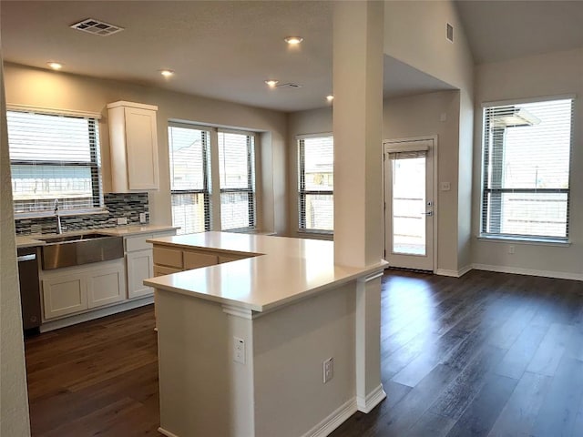 kitchen with visible vents, backsplash, dark wood finished floors, light countertops, and a sink