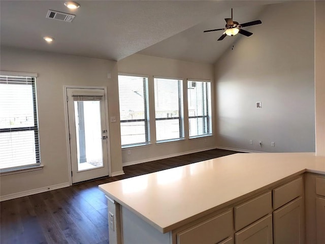 4336 Trey Edsel Dr, Pflugerville, TX 78660 - kitchen with dark wood-type flooring, plenty of natural light, light countertops, a ceiling fan, and vaulted ceiling