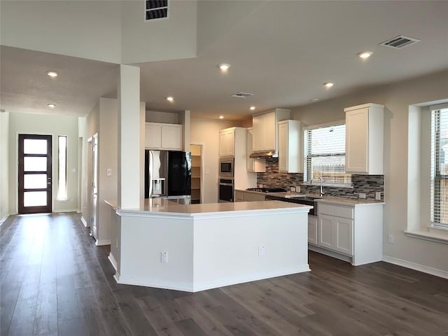 4336 Trey Edsel Dr, Pflugerville, TX 78660 - kitchen featuring appliances with stainless steel finishes, under cabinet range hood, healthy amount of natural light, backsplash, and recessed lighting