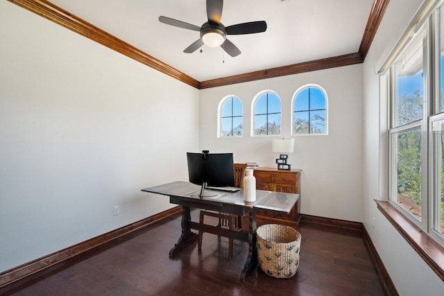 23617 Indian Divide Cv, Spicewood, TX 78669 - office with plenty of natural light, baseboards, ornamental molding, and wood finished floors
