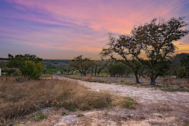 2014 Paradise Pkwy, Canyon Lake, TX 78133 - photo 1