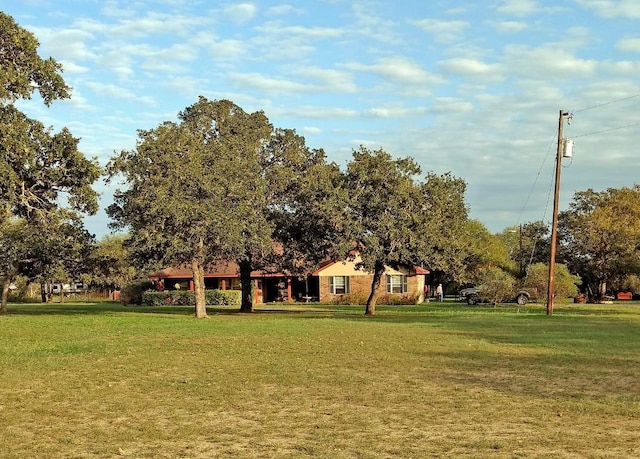 view of community featuring a yard