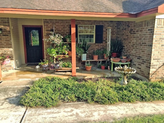 view of exterior entry featuring brick siding and roof with shingles