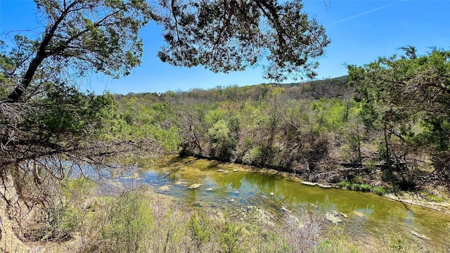 2300 Leppy Ln, Leander, TX 78641 - photo 28