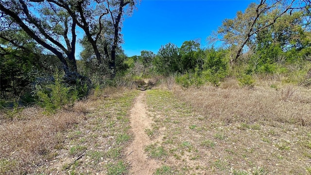 2300 Leppy Ln, Leander, TX 78641 - photo 29
