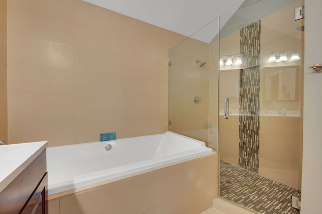 11214 Stormy Ridge Rd, Austin, TX 78739 - full bathroom featuring vanity, a shower stall, and a bath