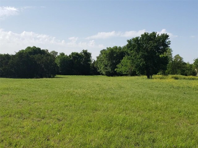 200 Christine Ln, Liberty Hill, TX 78642 - photo 1