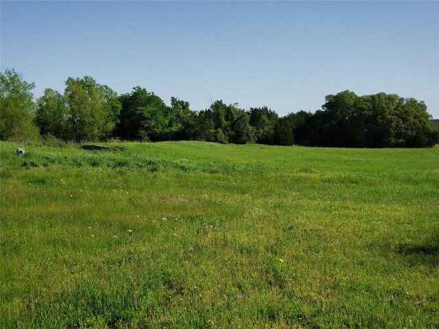 200 Christine Ln, Liberty Hill, TX 78642 - photo 10