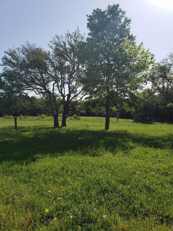 200 Christine Ln, Liberty Hill, TX 78642 - photo 12