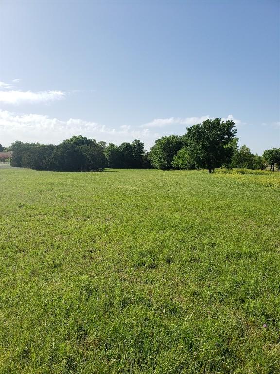 200 Christine Ln, Liberty Hill, TX 78642 - photo 13