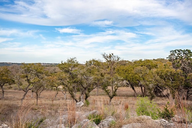 1926 Paradise Pkwy, Canyon Lake, TX 78133 - photo 1