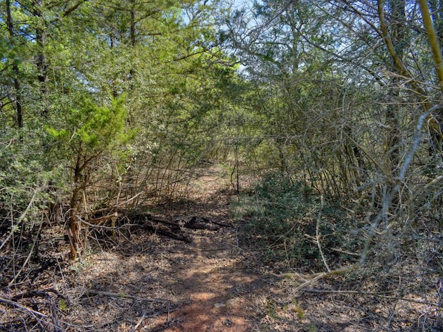 view of nature with a view of trees